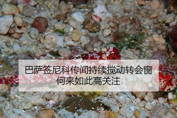巴萨签尼科传闻持续搅动转会窗 何来如此高关注